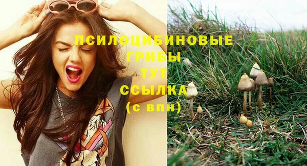 дживик Армянск