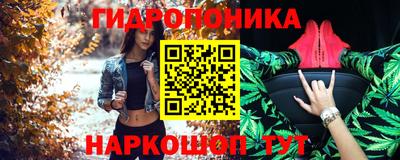 шишки Кудымкар
