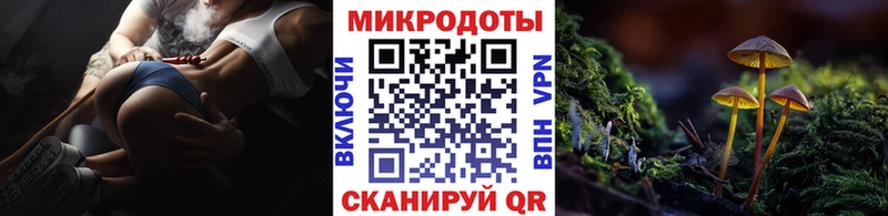 гидра ссылка  как найти закладки  сайты даркнета состав  Псилоцибиновые грибы Psilocybe  Фролово 